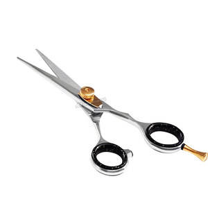 Tijeras Profesionales para Cortar Cabello con Tornillo de Tensión Ajustable y Reposamanos Desmontable Plateadas para Barbería - Product Image 3