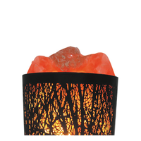 2024 nouveauté Himalaya rose roche sel cristal lampe sculpté à la main artisanat naturel décoration de la maison Logo personnalisé taille personnalisée
