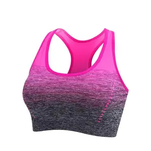 运动胸罩高拉伸透气顶级健身女性加垫跑步瑜伽健身房无缝裁剪胸罩渐变运动胸罩