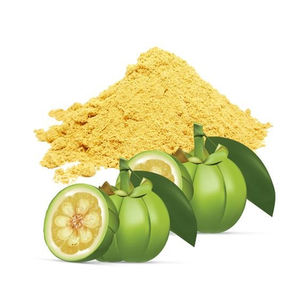 Fournisseur d'extrait de Garcinia disponible en grande quantité poudre d'extrait de Garcinia HCA pour la perte de poids - Product Image 1