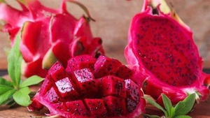 [QUALITÉ PREMIUM] FRUITS DU DRAGON SÉCHÉS pour L'EXPORTATION DU VIETNAM AVEC LE PRIX CONCURRENTIEL/Mme Lucinda - Product Image 5