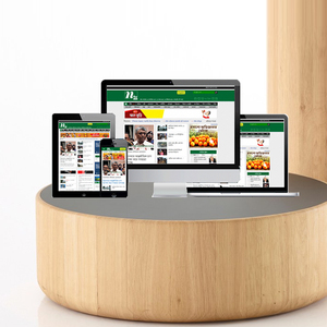 News Portal Design and Development Company in India | Best News Portal Design and Development & Maintenance Services by Webroot - Product Image 5