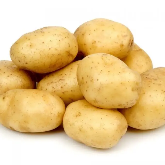 Großhandel glatte Haut weiße Farbe runde Form Chipsona Kartoffel mit Flotten augen für Chipping & Fresh Frying verwendet