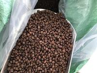 Café en grains torréfiés de qualité supérieure pour les importateurs coréens +84 796855283