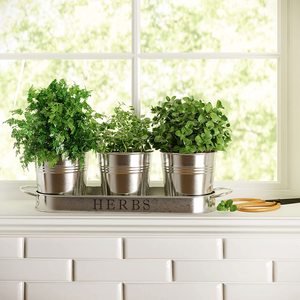 Modern Farmhouse Vintage Galvanized Metal <b>Herb</b> Plant <b>Herb</b> <b>Pot</b> Planter with Tray Customized Galvanized Tray and Planter - Product Image 2