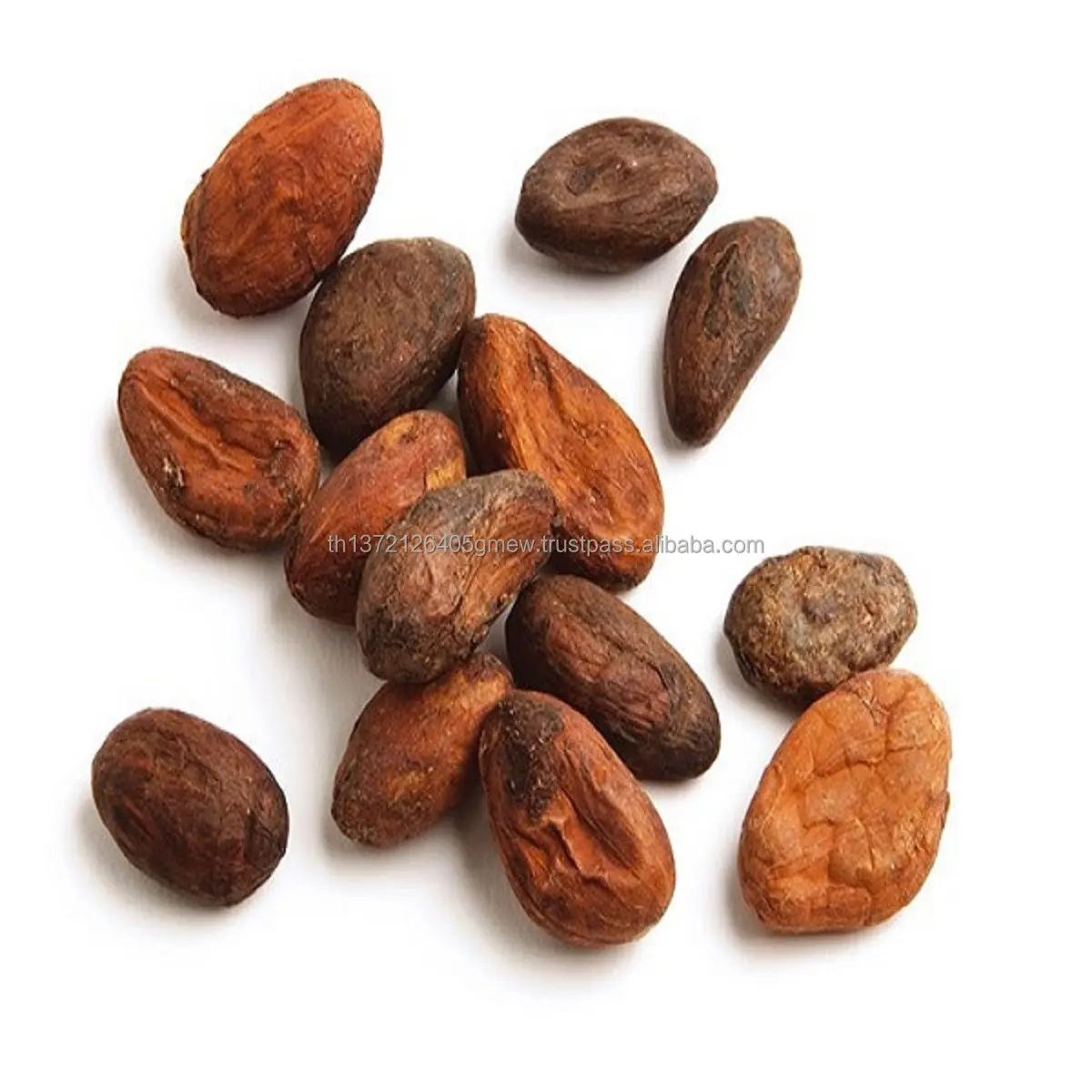 Цены на какао бобы. Семена какао. Семена какао бобов. Сушеные какао Бобы. Экстракт какао.