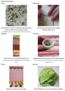 Système de culture hydroponique de micro-légumes avec éclairage LED, étagère en fil d'acier <span class=keywords><strong>Koray</strong></span> GK12045 G12045 2021 - Product Image 6