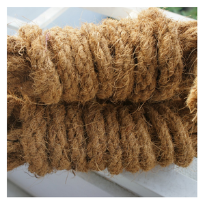 Chalotes secos naturales orgánicos vietnamitas Cebolla roja de alta calidad seca para exportación - Product Image 1