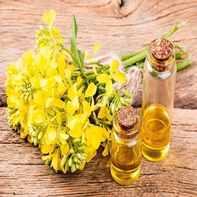 Organic Refined Canola Oil / Rapeseed Oil for wholesale