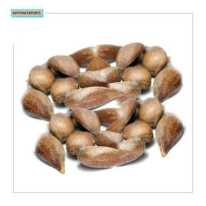 100% Especialista en aromaterapia pura y natural Sugandh Mantri Oil - Product Image 1