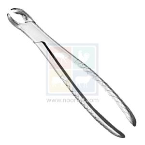 NVC Manufacturer's Premium Quality Stainless Steel Horse Dental Forceps <b>Veterinary</b> <b>Surgical</b> <b>Instrument</b> Growing Tooth Care Model - Product Image 1