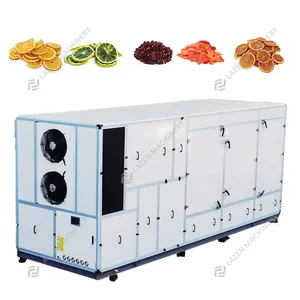 Professional Supplier for Fruit Dryer High Quality Dried Fruit Production Line