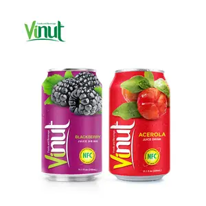 330ml Canned VINUT We Import Blackberry Fruit Juice drink