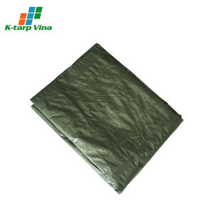 250Gsm Waterproof Coated <b>Tarpaulin</b> Plastic Aluminum <b>Eyelets</b> Every 1M Interval PE Material Custom Cutting Service - Product Image 2