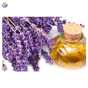 Vente d'usine d'huile essentielle de lavande naturelle de qualité supérieure du vendeur 100% sur l'huile essentielle pure - Product Image 1