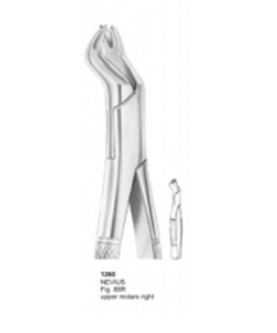 Dental Extracting Forceps American Pattern Steel Manual - Product Image 1