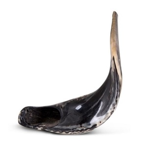 Naturel Ram Shofar Hébreu Trompette Coup de Corne Juif Casher Terre Sainte Israël - Product Image 2