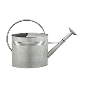 Arrosoir bleu ciel de luxe en acier inoxydable, pot d'arrosage moderne, accessoires de jardin de luxe, 1 pièce - Product Image 2