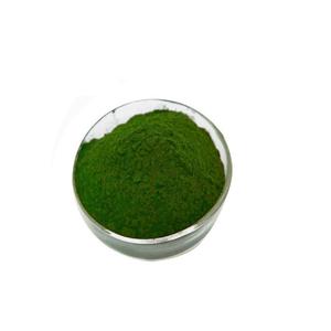 ULVA LACTUCA/ SEA LETTUCE/ GREEN <b>SEAWEED</b> POWDER // Ms. Shyn - Product Image 1