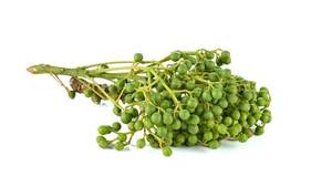 Huile essentielle pure raffermissante avec huile de litsea cubeba et ingrédients de racine d'arbre à thé 30ml AROMAAZ INTERNATIONAL - Product Image 2