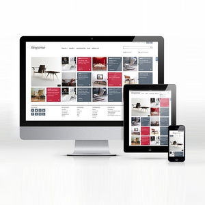 Business Services Shopping Web Application Development Company in India | Top eCommerce Website Development Services by Webroot - Product Image 6