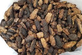 Fruta no seca de alta calidad, ámbar + 84383004939 - Product Image 6