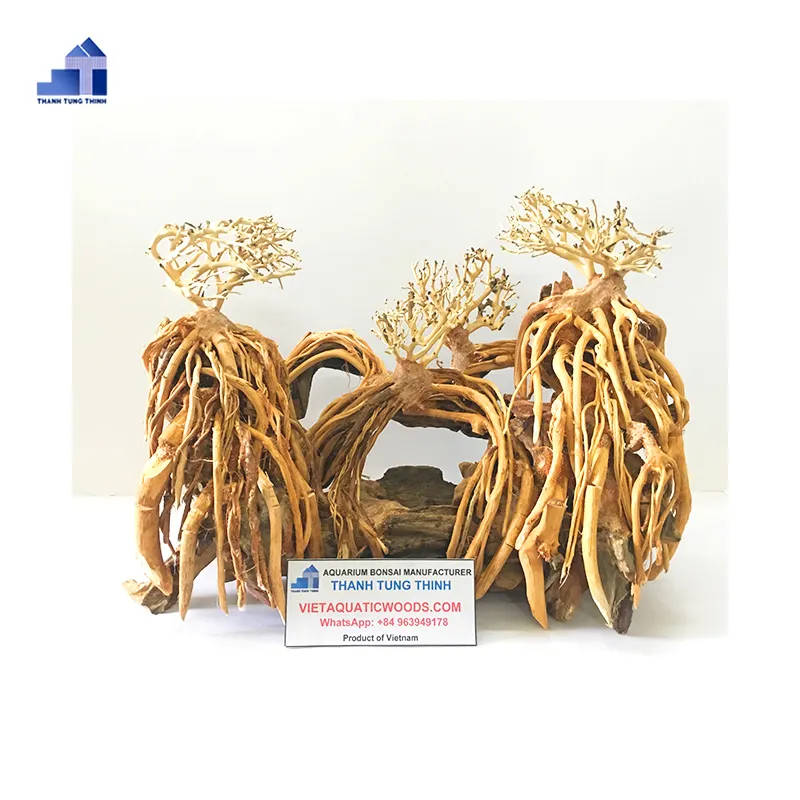 Akvaryum için 2023 akvaryum Driftwood Bonsai Driftwood WhatsApp: + 84 961005832