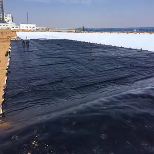 Waterproofing Geomembrane Factory Price Uv Resistant Oxidation Resisting HDPE Waterproofing Geomembrane