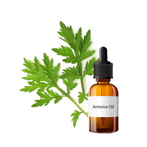 100% huile essentielle d'Armoise naturelle biologique fraîchement extraite de l'Inde odeur forte pour la peau digestive huile essentielle pure - Product Image 1