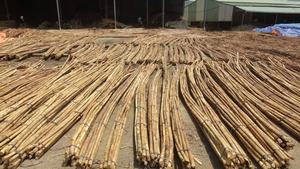 Furniture Outdoor Sofa Natural Rattan <b>Strips</b> Material - Wholesale 18mm to 50mm Rattan Manau Cane Poles - Product Image 4