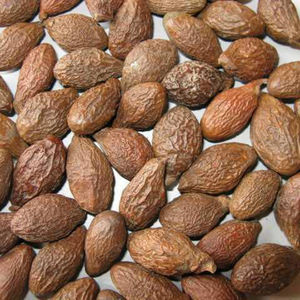 แห้ง MALVA ถั่วที่มีคุณภาพสูง - Product Image 1