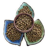 Filtre à eau en céramique dorée antibactérien avec capacité de 100g/500L, productivité de 1000L/heure, adoucissement et dessalement