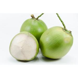 Coco Fresco de Primera Calidad BenTre Canadá, Semidescascarado, 25 Nueces, Buen Precio - Product Image 1