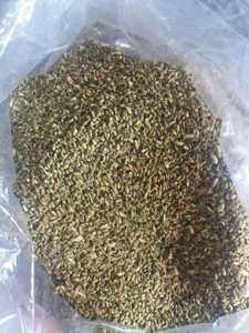 Sophora Japonica/Flor de Sophora Japonica seca de alta calidad de Vietnam / Shyn Tran - Product Image 4