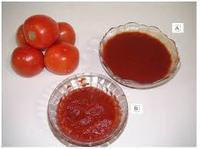 Prix de gros de la pâte de tomate de qualité indienne en purée de sauce sucrée en conserve pour l'Azerbaïdjan Échantillon gratuit inclus