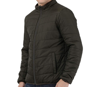 Vestes d'hiver matelassées pour hommes, décontractées, fines, à capuche, écologiques, respirantes, fermeture éclair, service OEM, impression en relief, taille XL - Product Image 1