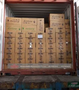 เหรียญกษาปณ์มะนาวสดบริสุทธิ์สำหรับเคี้ยวหมากฝรั่งปราศจากน้ำตาล61.25กรัมในขวด - Product Image 6