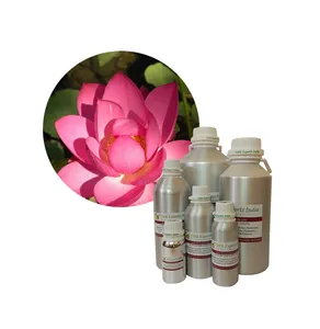 Roze Lotus Olie Vertrouwde Roze Lotus Absolute Olie Leverancier Uit India Bulk Roze Lotus Olie Op Wholesale-prijs