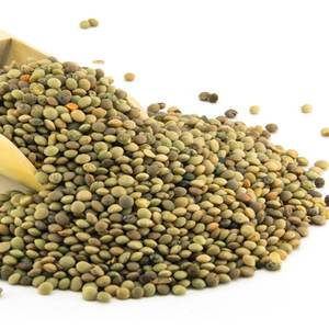 Grado di alta qualità essiccato lenticchie verdi alla rinfusa e sottovuoto dal Canada-LentilsWorld - Product Image 1