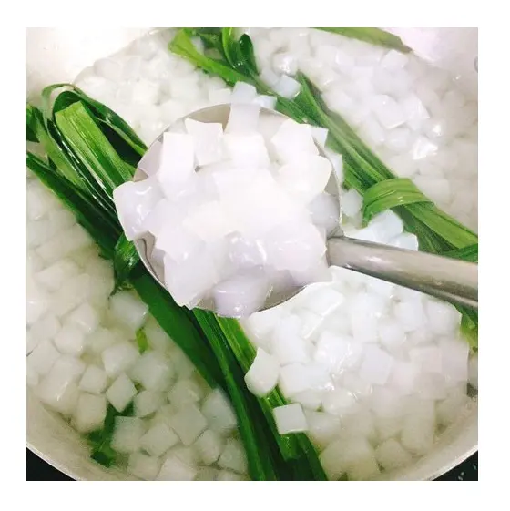 Kokosgelei Nata De Coco In Lichte Siroop-Heerlijke Kokoscrème | Ms. Esther (Whatsapp: + 84 963590549)