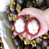 100% Witte Pulp Mangosteen Uit Vietnam Groothandel-Ms Kio Hyunh + 84 34 375 8904