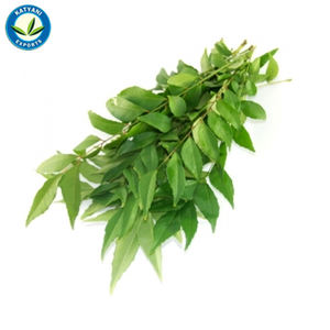 Huile essentielle de feuille de curry Elevate Products Natural Aromas 100% Pure Organic Bulk Quantity Prix de gros Fournisseur et exportateurs - Product Image 5