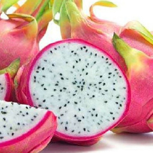 SOBRE CULTIVO FRUTA DRAGÓN FRESCA-ORIGEN DE VIETNAM - Product Image 1