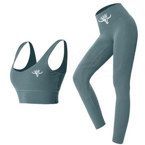 Quick Dry Sport Bra Leggings Seamless Breathable Fitness Exercise Sports Bra and Legging Set - Product Image 5