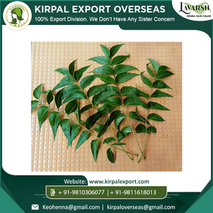 Arshia Henné Triple Tamisé Bio Neem Semi-Permanent Poudre de coloration verte pour un usage généralisé - Product Image 3