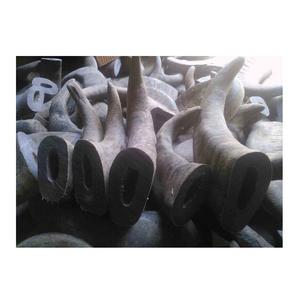 Pointes en forme de corne pastèque non polies, 50 pièces, pointes naturelles en corne, de style bodum thule, de l'inde, pour emballage en carton - Product Image 4