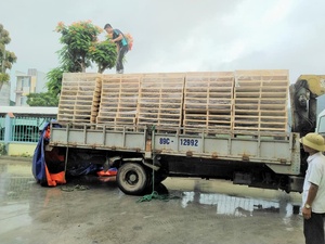 Fabricación directa Vietnam ISO M15 Certificado de doble cara ACACIA/PINO Tablones de paleta de madera Contrachapado Estándar de exportación competitivo - Product Image 6