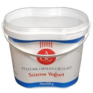 Special Design Recyclable 600ml Temper Evident PP IML Container and Lid with Handle for Yogurt and Food Containers