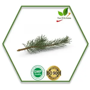 Elegant Quality 100% Fresh Pure and Natural Fir Needle Essential Oil
