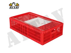 Nouveau Caisse de Transport pour Poulets à Porte Supérieure Ouverte, Capacité 12-16 Poulets, Matériau PE, Résistance aux Températures de -20°C à +80°C, Utilisation Toutes Saisons - Product Image 2